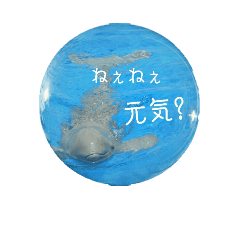 [LINEスタンプ] 素敵な水族館