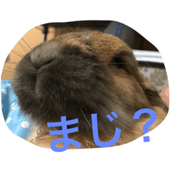 [LINEスタンプ] らぶ太じぃちゃんの日常。