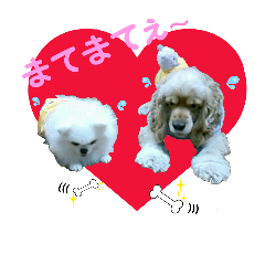 [LINEスタンプ] Go！Go！バーボン♪)))