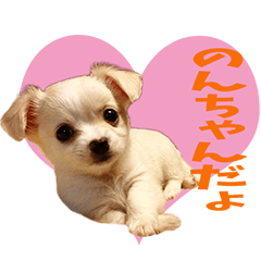 [LINEスタンプ] 我が家ののんちゃん❤️