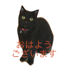 [LINEスタンプ] 黒猫気分 2