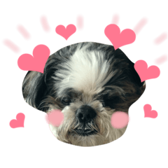 [LINEスタンプ] モル