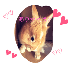 [LINEスタンプ] 空と愉快な仲間達