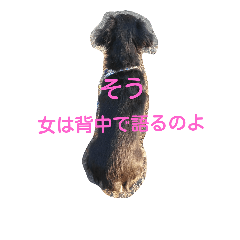[LINEスタンプ] 真っ黒ゆずちゃん