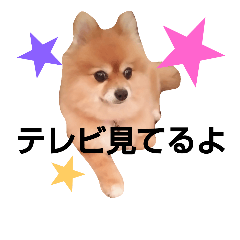 [LINEスタンプ] ポメラニアンDuffy黒と赤 その6