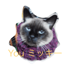 [LINEスタンプ] ねこ8