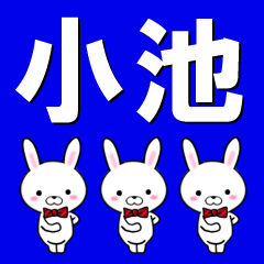 [LINEスタンプ] 超★小池(こいけ・コイケ)なウサギ