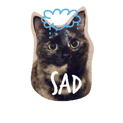 [LINEスタンプ] まめとあずという猫