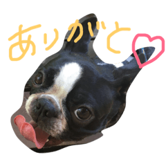 [LINEスタンプ] さかぐちぽんず