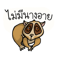 [LINEスタンプ] Zoo Squad