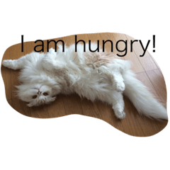 [LINEスタンプ] milk cat chu 1