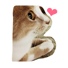 [LINEスタンプ] ちゃー