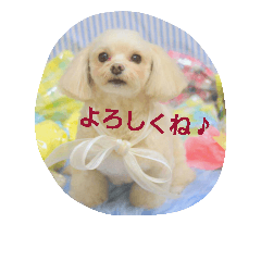 [LINEスタンプ] りっちちょこぱんぱーと つー