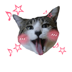 [LINEスタンプ] ベイ二朗とキララ2