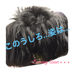 [LINEスタンプ] うちの子エルモ vol.1