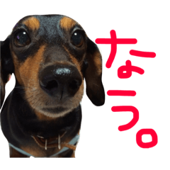[LINEスタンプ] べったんすたんぷ。