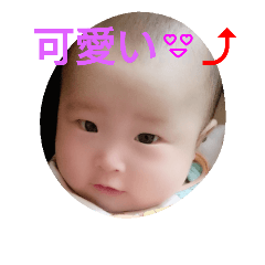 [LINEスタンプ] レオスタ