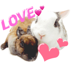 [LINEスタンプ] ミニウサギのLOVE