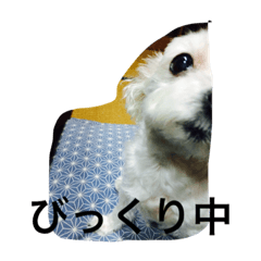 [LINEスタンプ] なんちゃら〜中