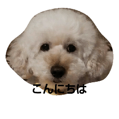 [LINEスタンプ] 我が家の龍くん日常