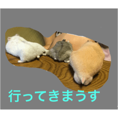 [LINEスタンプ] はむスターズ