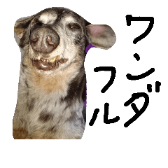 [LINEスタンプ] わしの愛犬