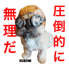 [LINEスタンプ] とにかく美人なKUBOMIのスタンプ