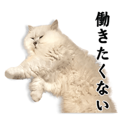 [LINEスタンプ] ニートねこ