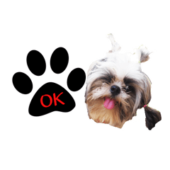 [LINEスタンプ] DMoji