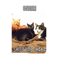 [LINEスタンプ] オニギリとりお2