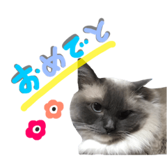 [LINEスタンプ] あおひな。