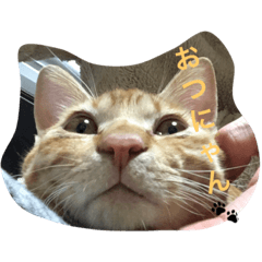 [LINEスタンプ] ちゃおスタンプ1