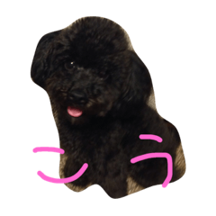 [LINEスタンプ] ぼくらいこう