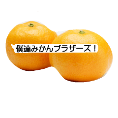 [LINEスタンプ] みかんブラザーズ！