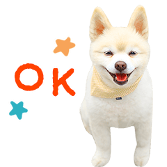 [LINEスタンプ] モコのスタンプ