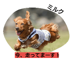 [LINEスタンプ] タケムラ