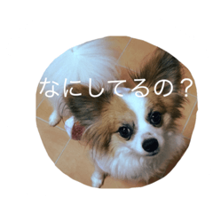 [LINEスタンプ] ジャックの毎日