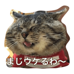 [LINEスタンプ] のリトラじるし
