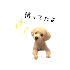 [LINEスタンプ] といぷーはっさく