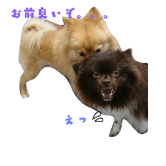 [LINEスタンプ] チロルとチョコの仲間たち❤️パート3