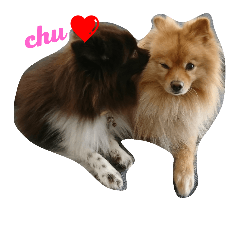 [LINEスタンプ] チロルとチョコの仲間たち❤️パート4