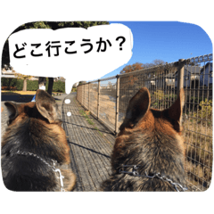 [LINEスタンプ] ラディック＆ジェフ