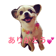 [LINEスタンプ] マイロ_2