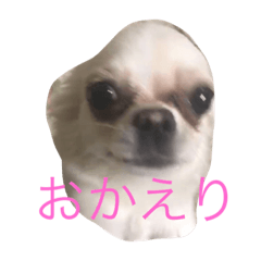 [LINEスタンプ] hello EV