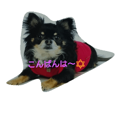 [LINEスタンプ] れおん君①