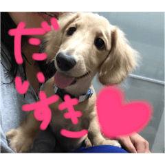 [LINEスタンプ] りょうりょうかい