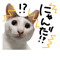 [LINEスタンプ] ミケネコとワンコ その3