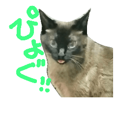 [LINEスタンプ] ぎゃびの
