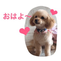 [LINEスタンプ] ミニチュアダックスくーちゃんのお友達