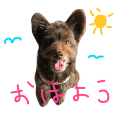 [LINEスタンプ] ポメプーAshとちっちゃな家族♪